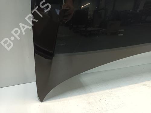 Hood VW POLO V (6R1, 6C1) 1.6 TDI | BP32361118C1