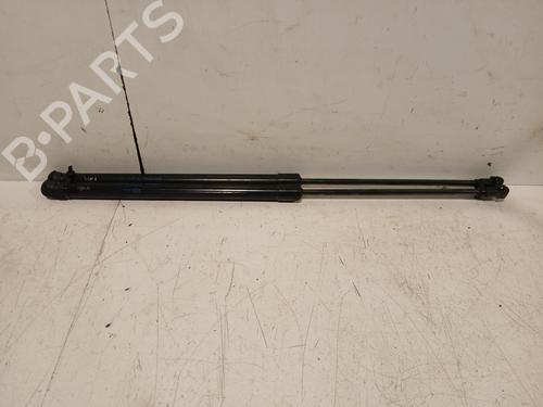 Used Tailgate lift support NISSAN QASHQAI II (J11, J11_) 1.2 DIG-T (115 hp) 29336297