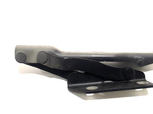 Hinge/Door check strap BMW 5 Touring (E61) 520 d | BP13204385C146