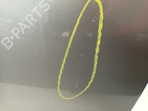 Right rear door SKODA SUPERB II (3T4) 1.9 TDI | BP18964996C5 