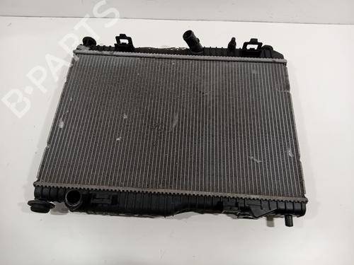 Used Water radiator FORD FIESTA VI (CB1, CCN) 1.0 EcoBoost (100 hp) 29941087