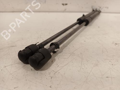 Tailgate lift support SKODA FABIA II (542) 1.2 | BP15716785C138 
