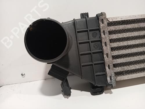 Intercooler VOLVO V50 (545) T5 | BP29918363M30