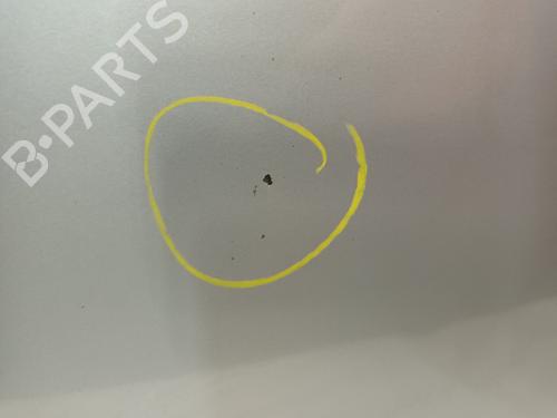 Hood FIAT DOBLO Cargo (263_) 1.6 D Multijet (263WXD1B, 263WXR1B, 263WXX1B, 263ZXD1B,... | BP19053622C1 