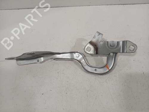 Hinge/Door check strap RENAULT SCÉNIC IV (J9_) 1.3 TCe 160 (J9NC) 654003758R