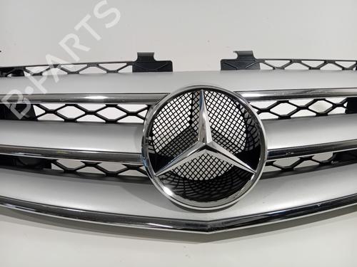 Grille MERCEDES-BENZ R-CLASS (W251, V251) R 350 (251.056, 251.156) | BP29634834C40 