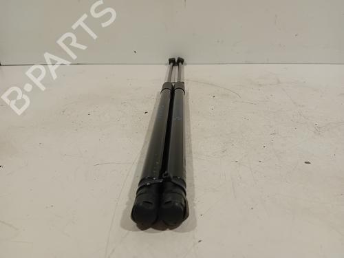 Tailgate lift support BMW X1 (E84) sDrive 18 d | BP24863977C138 