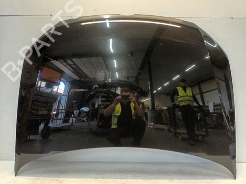 Capot Capot VW POLO V (6R1, 6C1) 1.2 TDI (75 hp) 33814451 33814451