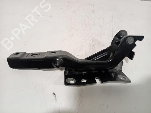 hingedoor-check-strap-renault-austral-2022-36641500 main image