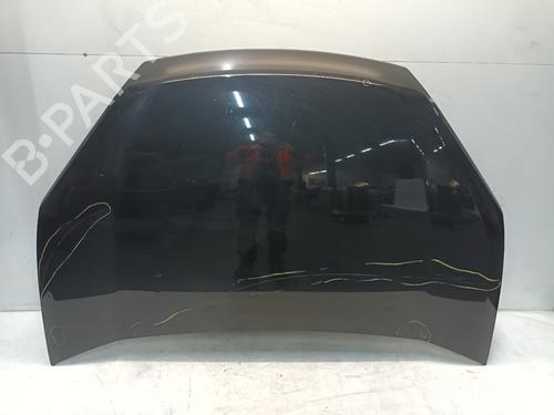 Used Hood FIAT DOBLO Cargo (263_) 1.3 D Multijet (90 hp) 21079825
