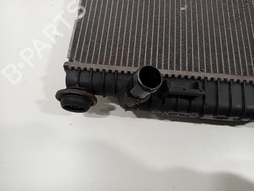 Water radiator FORD FIESTA VI (CB1, CCN) 1.0 EcoBoost | BP29941087M31 