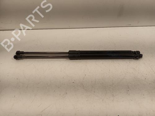 Tailgate lift support NISSAN MICRA V (K14) 0.9 IG-T | BP18069052C138 