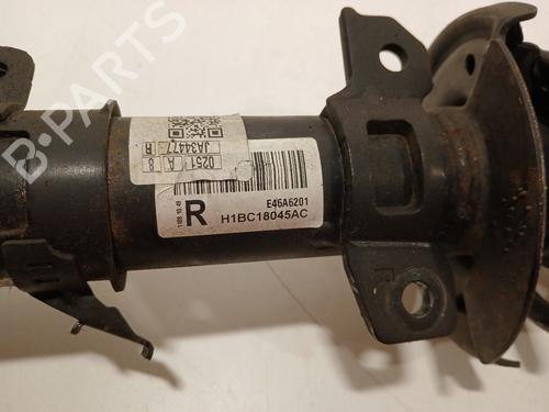 Right front shock absorber FORD FIESTA VII (HJ, HF) 1.1 Ti-VCT | BP24841522M17 