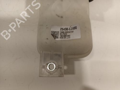 Expansion tank KIA NIRO I (DE) 1.6 GDI Hybrid | BP17520745C120 
