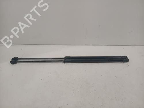 Tailgate lift support HYUNDAI BAYON (BC3) 1.0 T-GDI 48V-Hybrid 81831Q0410 | 81841Q0410