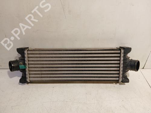 Intercooler Intercooler FORD TRANSIT CUSTOM V362 Van (FY, FZ) 2.2 TDCi (100 hp) 37293647 37293647