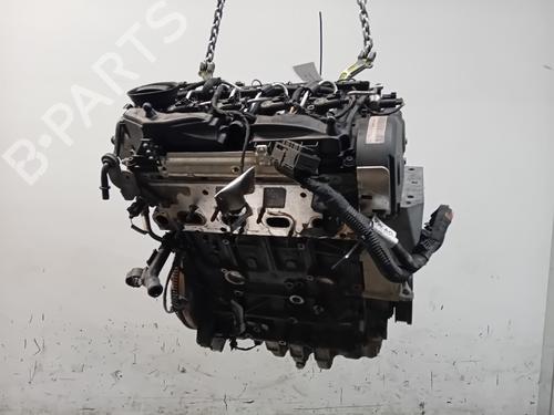 Engine VW POLO V (6R1, 6C1) 1.6 TDI | BP30460159M1 
