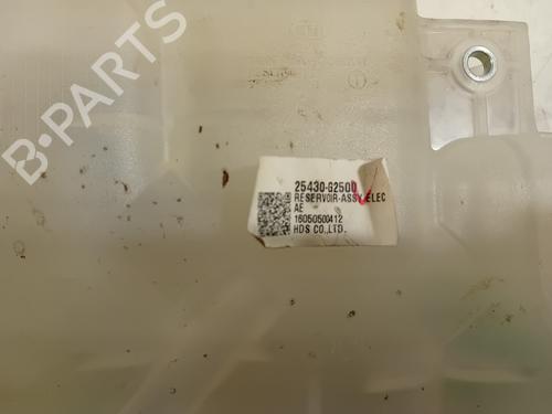 Expansion tank KIA NIRO I (DE) 1.6 GDI Hybrid | BP17001570C120 