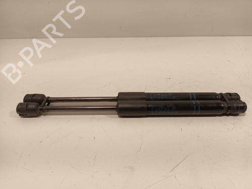 Hood lift support BMW 3 (F30, F80) 316 d | BP17558707C139 