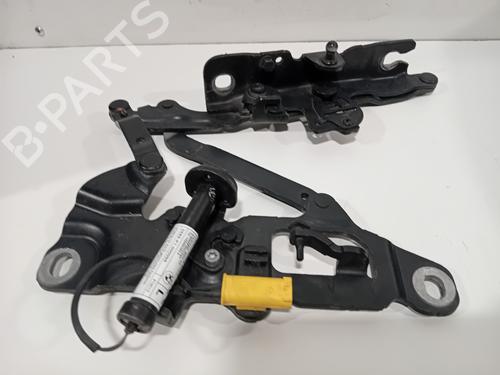 Hinge/Door check strap BMW 5 (F10) 530 d | BP29541095C146
