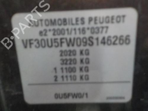 Tailgate PEUGEOT 3008 I MPV (0U_) 1.6 VTi | BP21096942C6 
