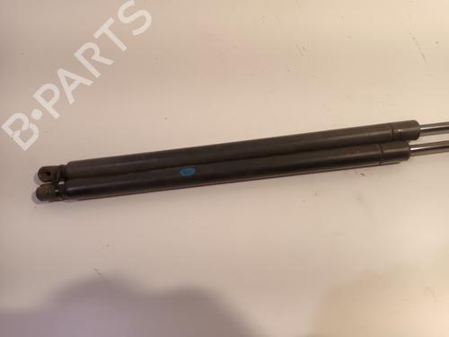 Tailgate lift support LAND ROVER RANGE ROVER SPORT I (L320) 3.6 D 4x4 | BP16421604C138 