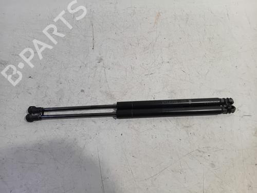 tailgate-lift-support-fiat-panda-312_-319_-2012-23062010 main image