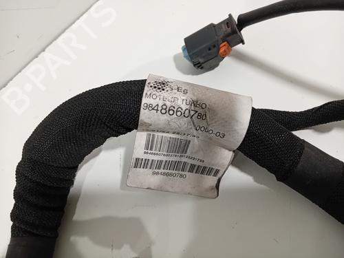 Wiring harness PEUGEOT 208 II (UB_, UP_, UW_, UJ_) 1.2 PureTech 130 | BP24932297E16 