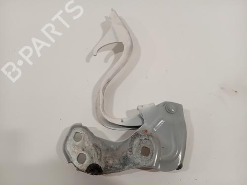 Hinge/Door check strap FIAT 500 (312_) 1.2 (312AXA1A) | BP23988237C146 