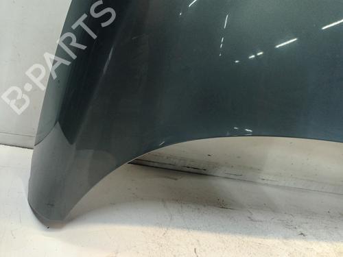 Hood FORD FIESTA VI (CB1, CCN) 1.6 TDCi | BP23646663C1 