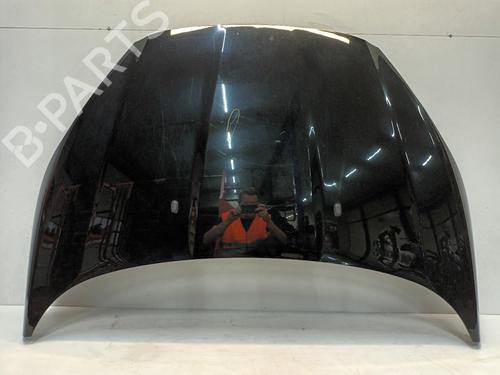 Capot FORD FIESTA VI (CB1, CCN) 1.0 EcoBoost (100 hp) 30489031