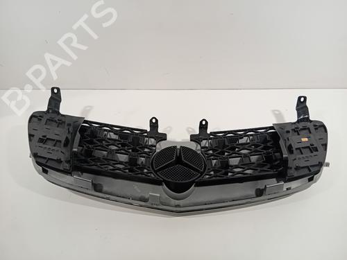 Grille MERCEDES-BENZ R-CLASS (W251, V251) R 350 (251.056, 251.156) | BP29634834C40 