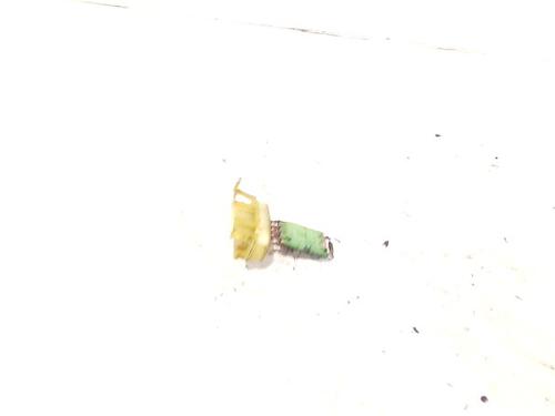 Used Heater resistor OPEL MOVANO A Van (X70) 2.5 D (FD) (80 hp) 11783032