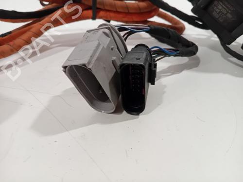 Cable VW GOLF VII (5G1, BQ1, BE1, BE2) 1.4 GTE Hybrid | BP25050654E12 