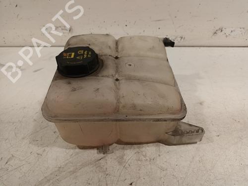 Expansion tank FORD TRANSIT CONNECT V408 Box Body/MPV 1.6 TDCi | BP15738523C120 