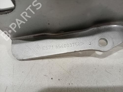 Hinge/Door check strap RENAULT SCÉNIC IV (J9_) 1.3 TCe 160 (J9NC) | BP28282975C146 