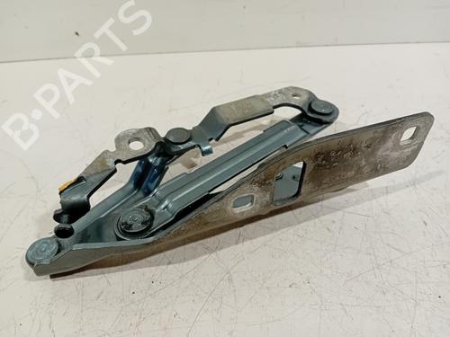 Hinge/Door check strap AUDI TT (8J3) 2.0 TFSI | BP24332723C146 
