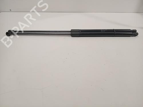 Tailgate lift support CITROËN C4 Picasso II 1.6 BlueHDi 120 | BP25049818C138 