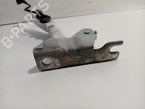 Hinge/Door check strap SEAT Mii (KF1, KE1) 1.0 | BP30127315C146 