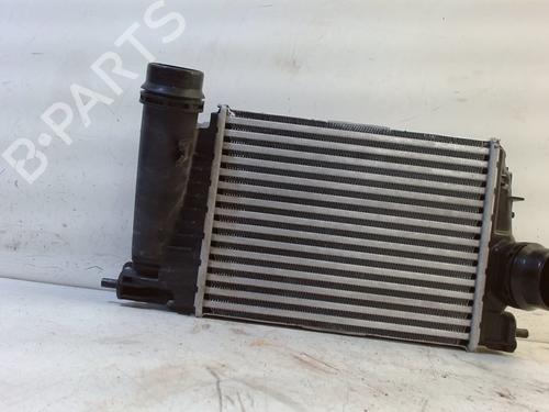 Intercooler RENAULT GRAND SCÉNIC IV (R9_) 1.3 TCe 160 (R9NC) | BP13207792M30 