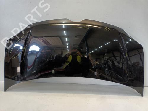 Capot Capot RENAULT TWINGO III (BCM_, BCA_) 1.0 SCe 70 (BCMB) (69 hp) 33241975 33241975