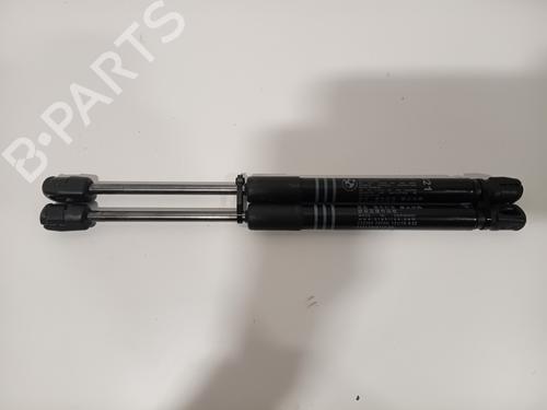 Hood lift support BMW 5 (F10) 530 d | BP29541102C139 