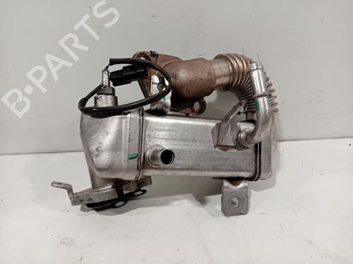Egr RENAULT TRAFIC III Van (FG_) 1.6 dCi 95 (FGMJ, FGMR) | BP29541068M69 