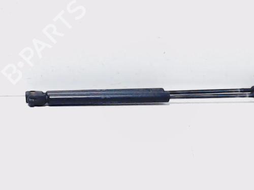 Tailgate lift support LAND ROVER RANGE ROVER II (P38A) 4.6 4x4 BP13196569C138