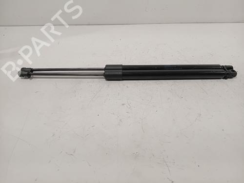 Used Tailgate lift support VW GOLF VII (5G1, BQ1, BE1, BE2) 2.0 GTI (245 hp) 28516536