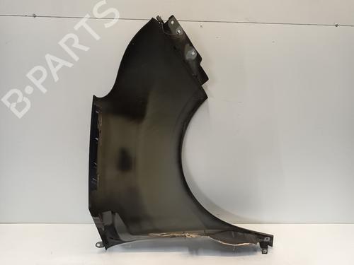 Left front fenders FIAT DOBLO Cargo (263_) 1.3 D Multijet | BP29864265C41