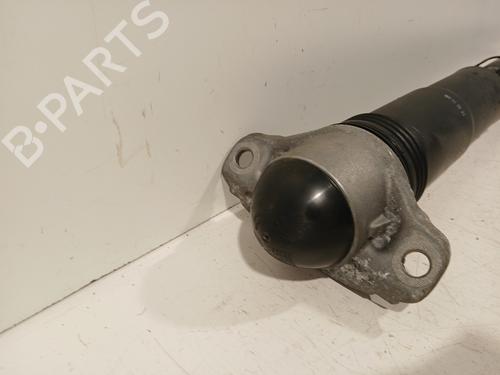 Right rear shock absorber VW GOLF VIII (CD1, DA1) 1.5 eTSI | BP29325520M19 