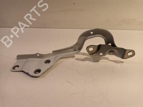 Hinge/Door check strap RENAULT SCÉNIC IV (J9_) 1.2 TCe 130 | BP16948893C146 