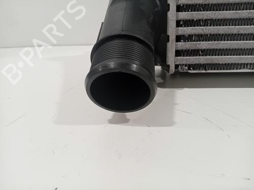 Intercooler FORD FIESTA VI (CB1, CCN) 1.0 EcoBoost | BP30617866M30