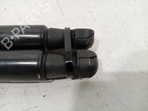 Hood lift support RENAULT SCÉNIC IV (J9_) 1.3 TCe 160 (J9NC) | BP28282973C139 